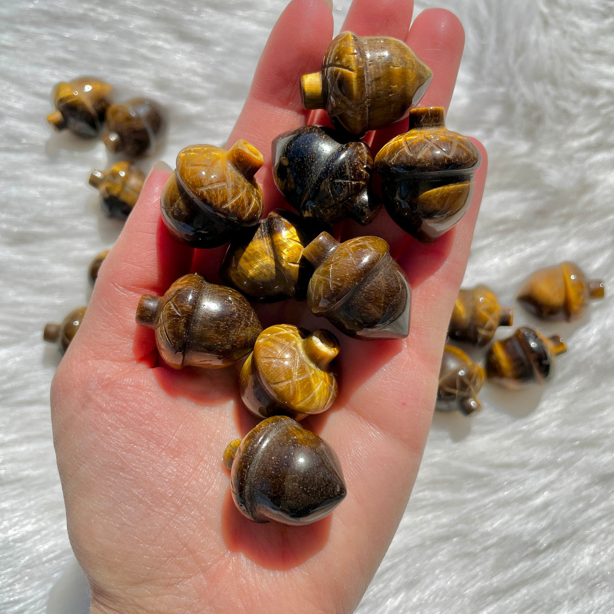 Tiger's Eye Acorn Carvings