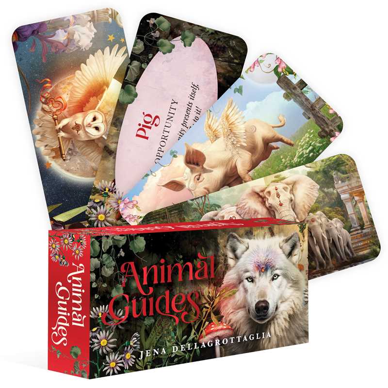 Animal Guides Affirmation Deck
