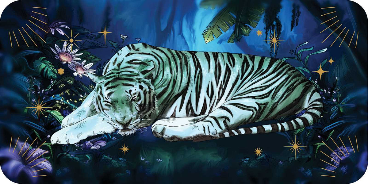 Sleeping Spirits Affirmation Deck