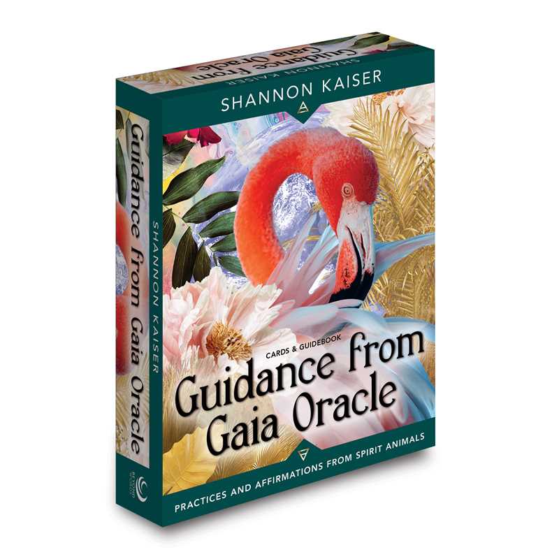 Guidance from Gaia Oracle