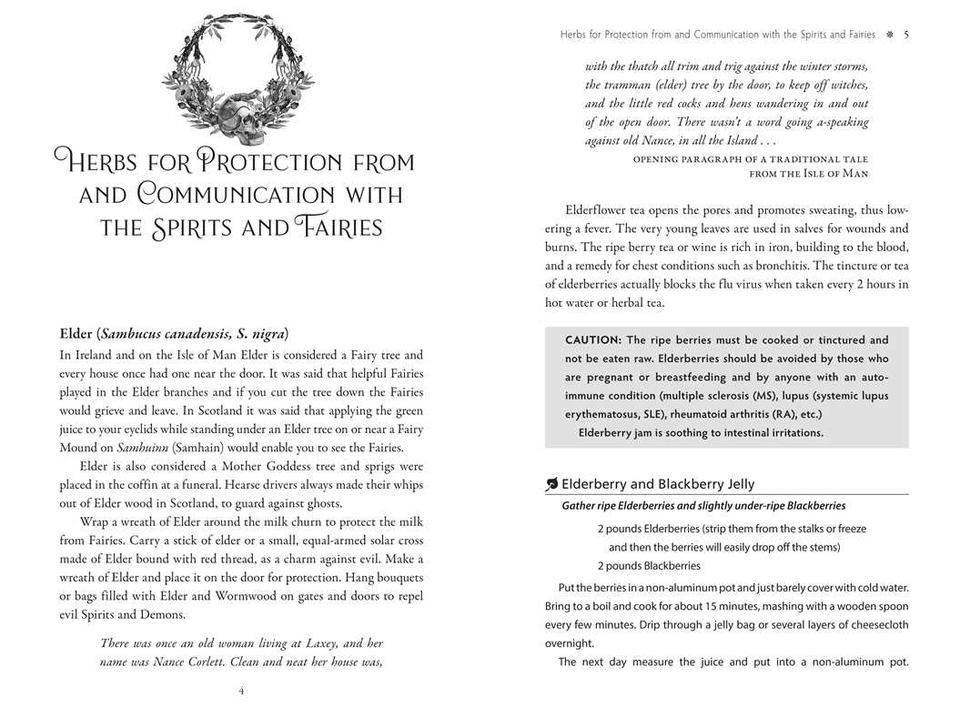 Sacred Herbs of Samhain Book