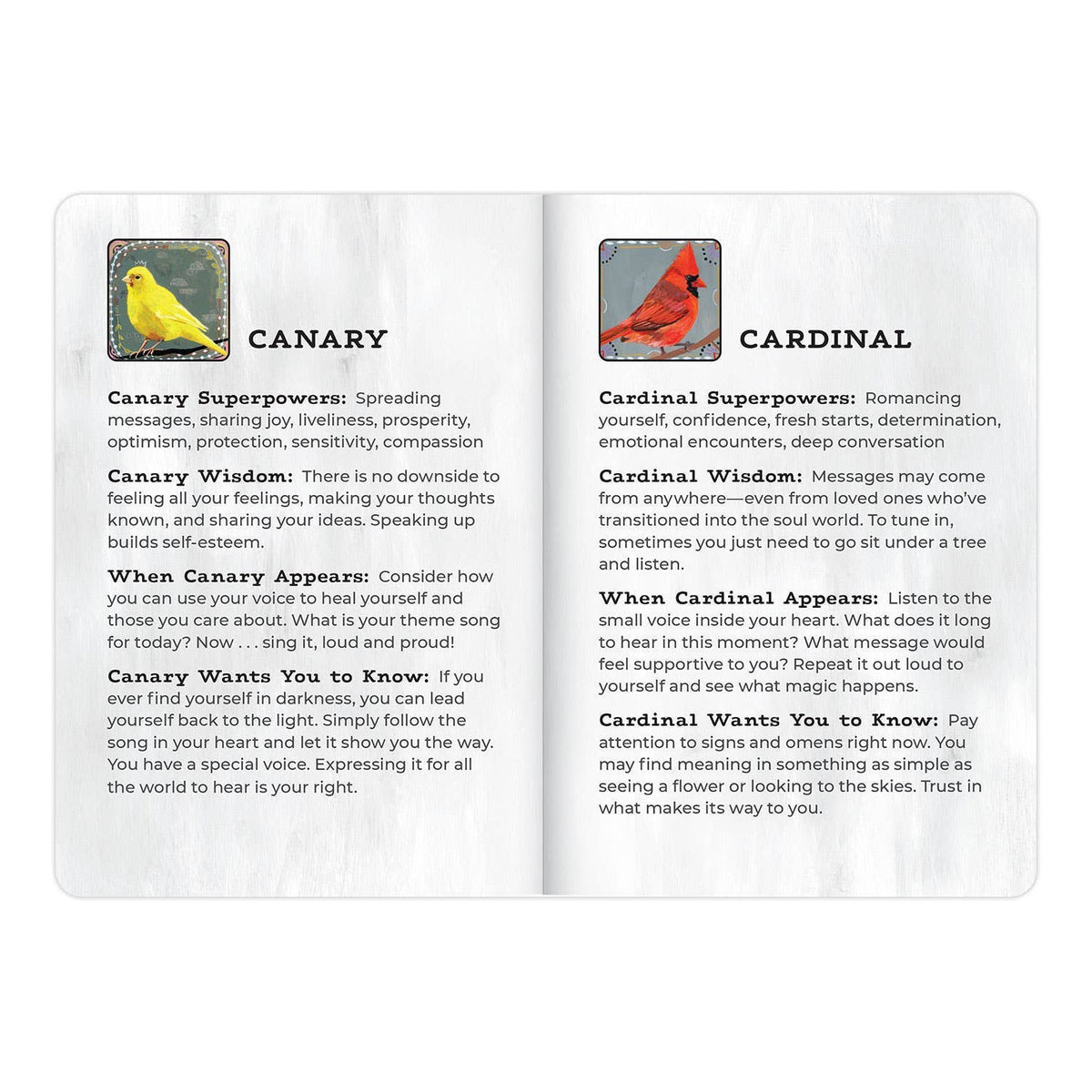 Animal Allies Birds Deck