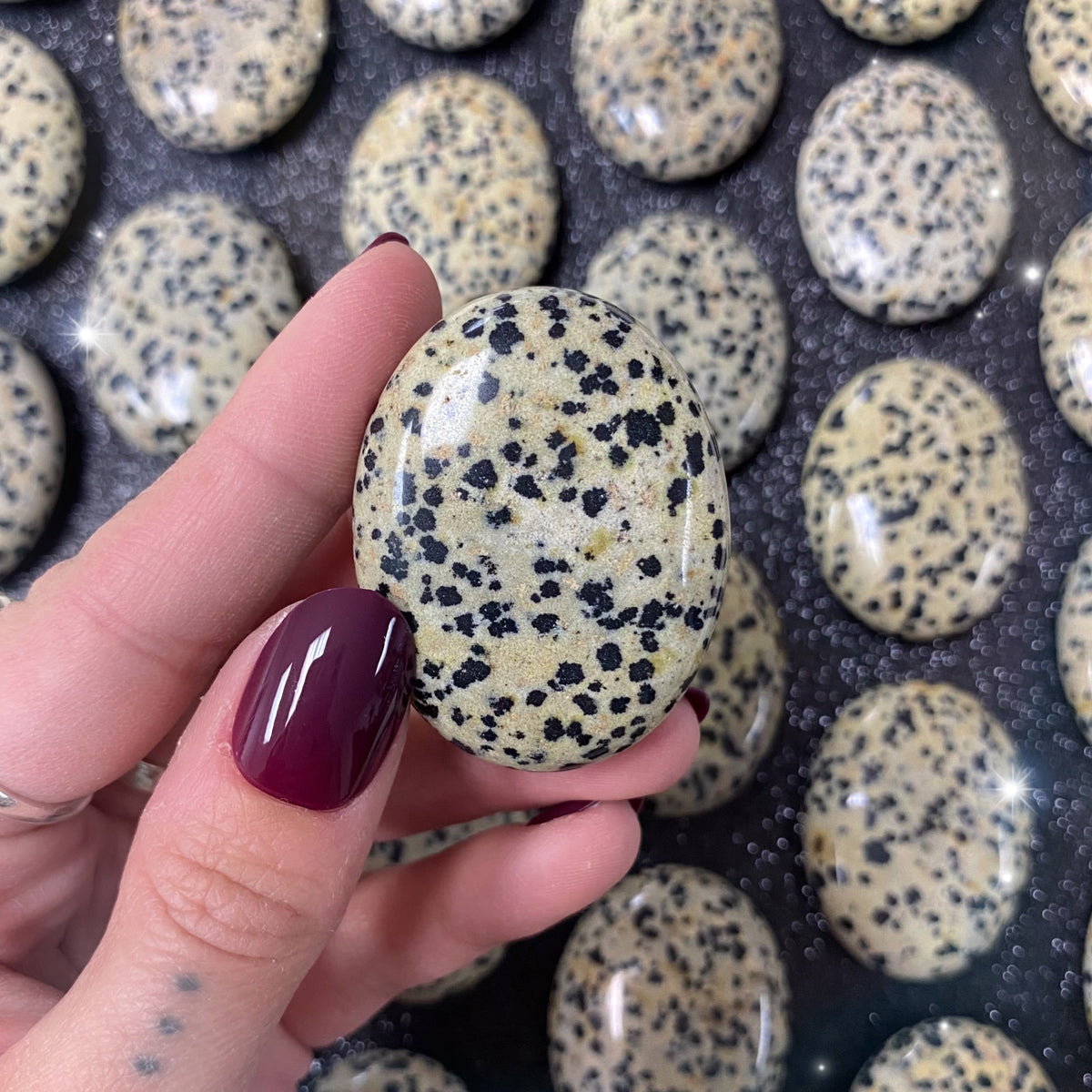 Dalmatian Jasper Palm Stone