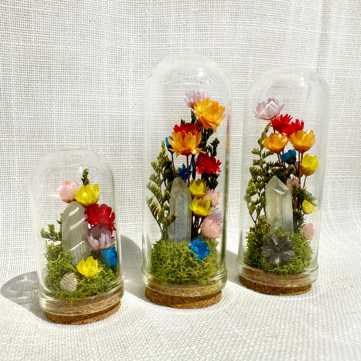 Rainbow Pride Flag Mini Cloche Terrarium