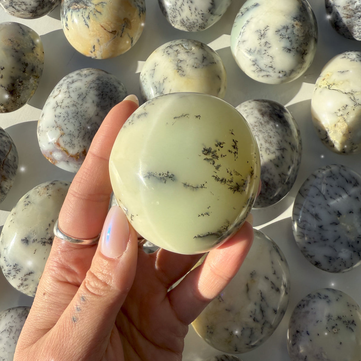 Dendritic Opal Palm Stones