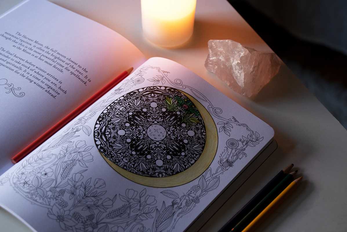 Believe in Magic: An Enchanting Coloring Book