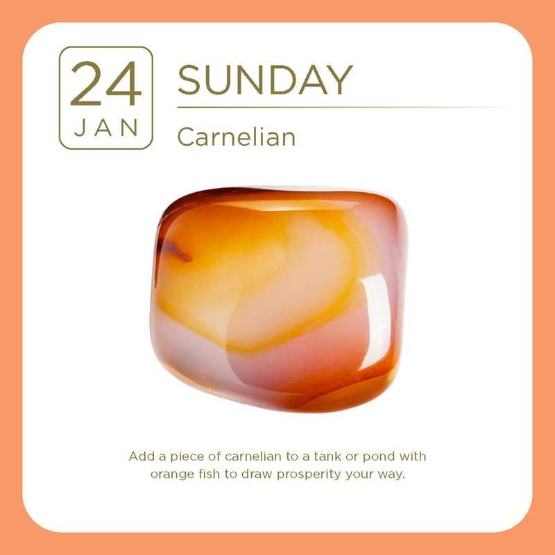 2027 Crystal Day-to-Day Calendar