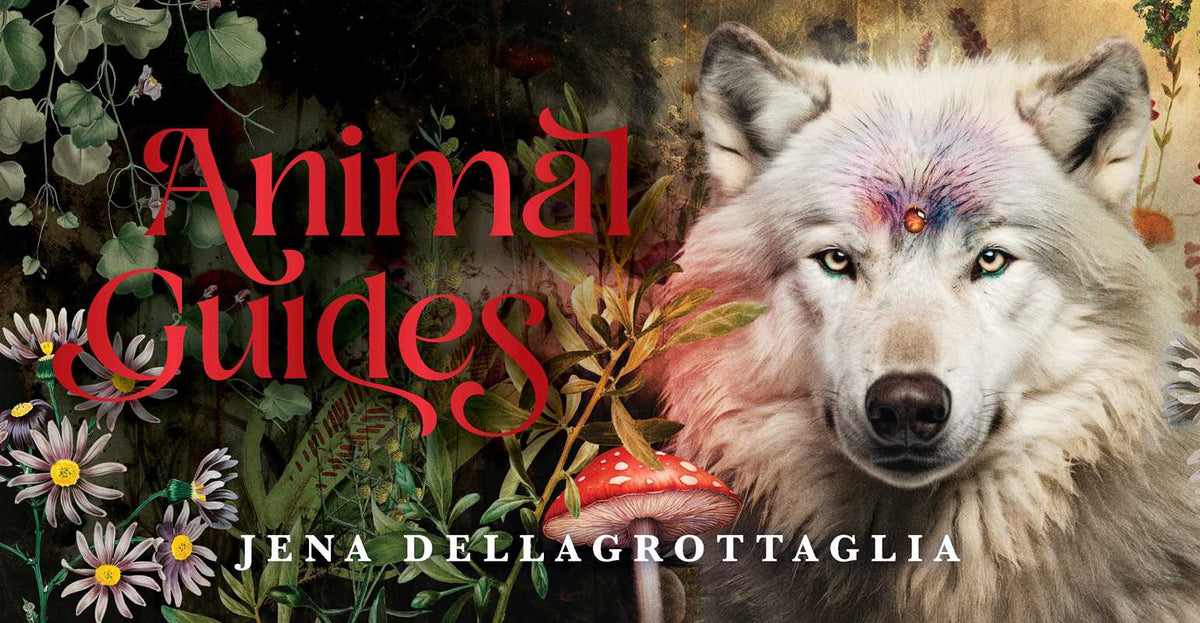 Animal Guides Affirmation Deck
