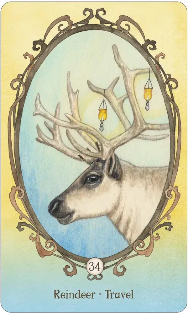 Wing, Hoof, and Paw: An Animal Companion Oracle