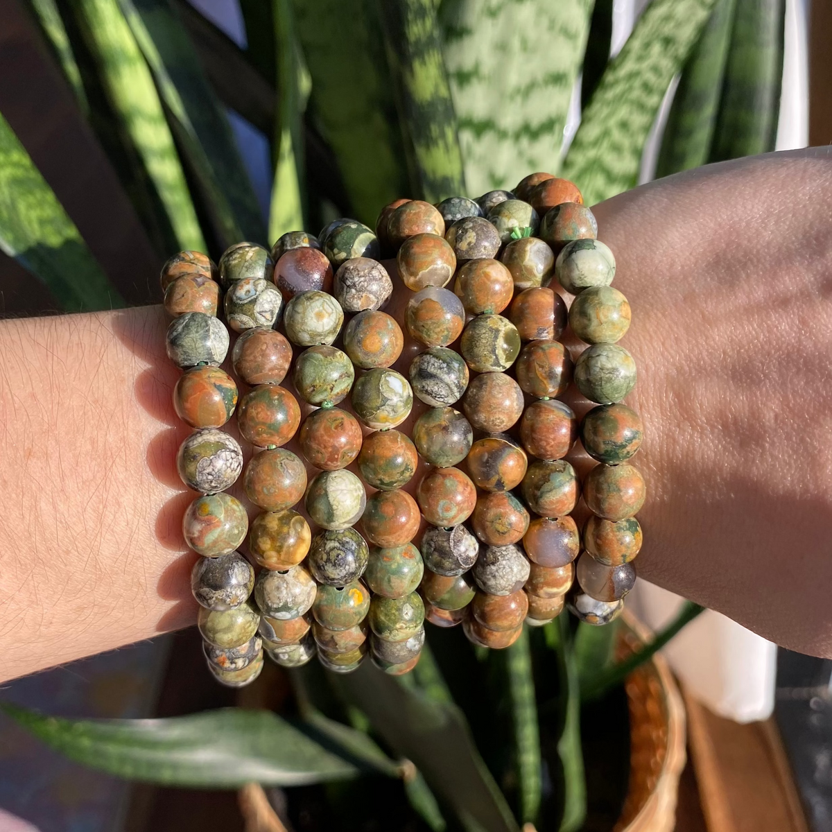 Rainforest Jasper Bracelet