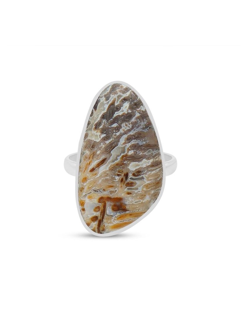 Petrified Wood Adjustable Sterling Silver Ring - 117