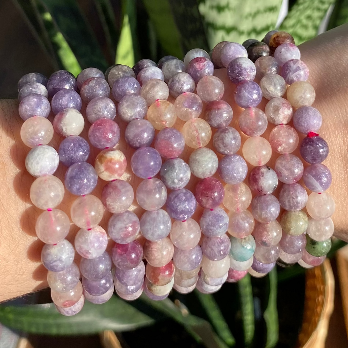 Multicolored beaded bracelet on a wrist with a plant in the background
