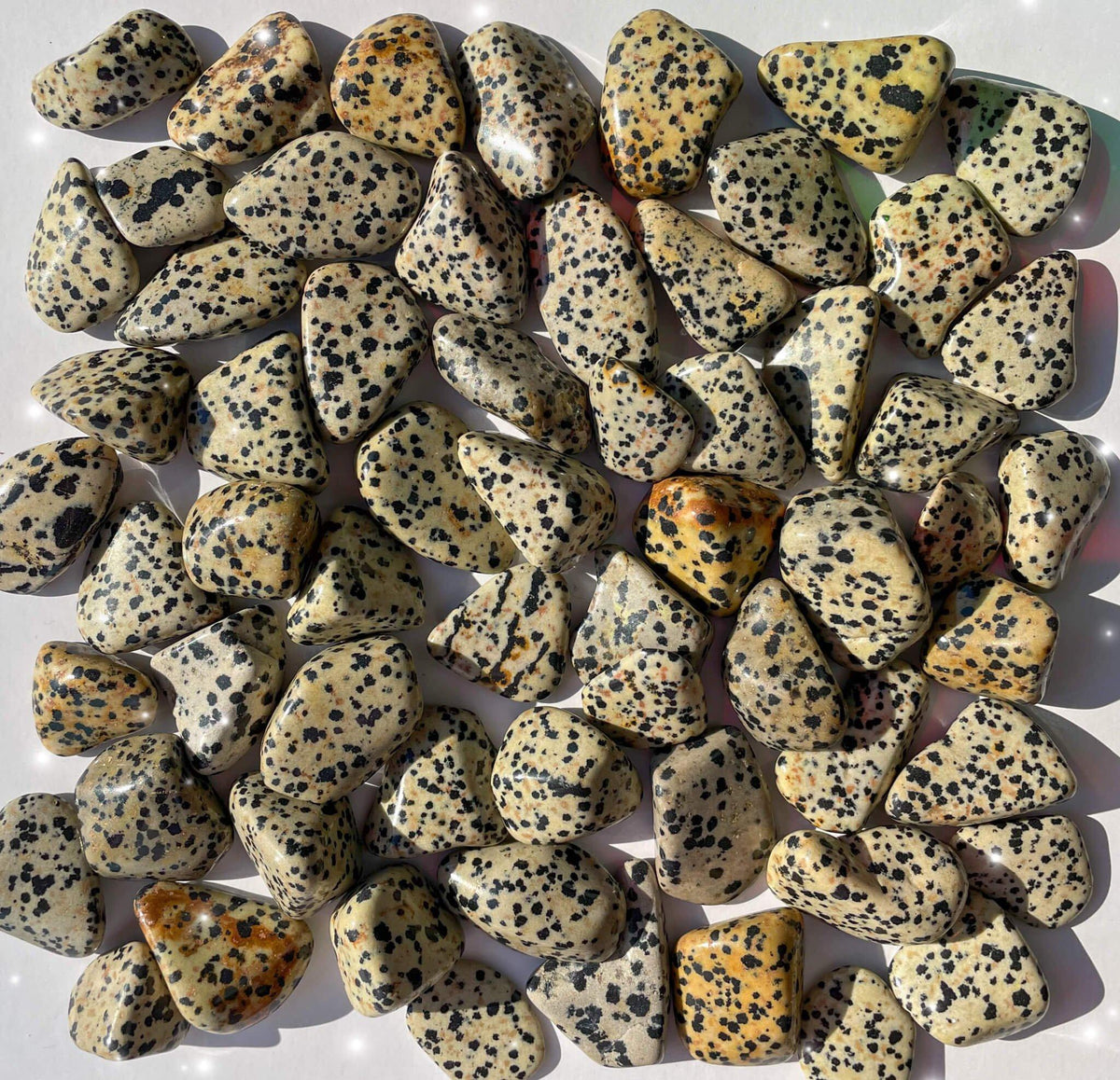 Dalmatian Jasper Tumbled Pocket Stone