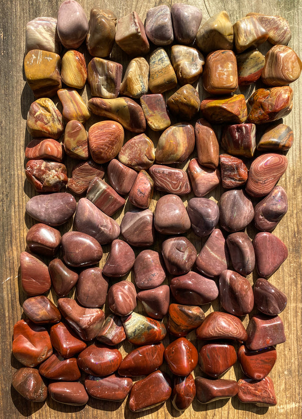 Petrified Wood Tumbled Pocket Stones - Rocks with Sass