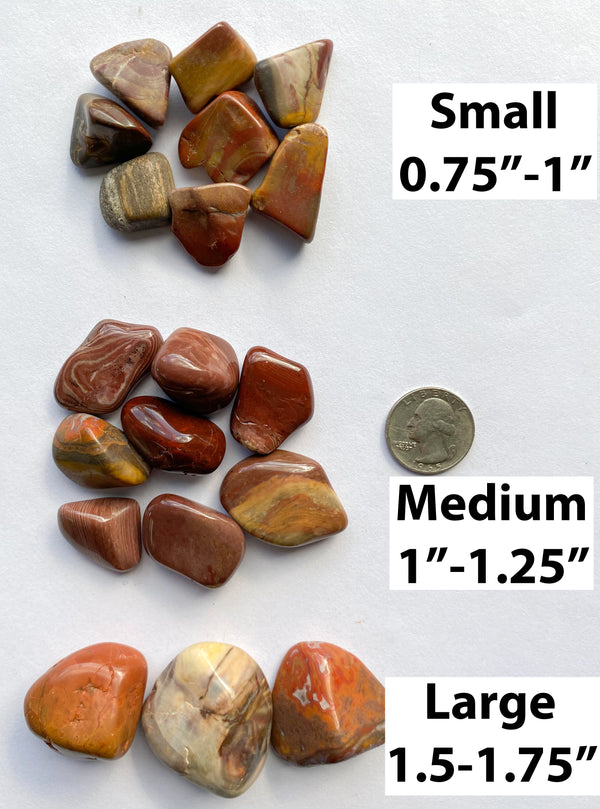 Petrified Wood Tumbled Pocket Stones - Rocks with Sass