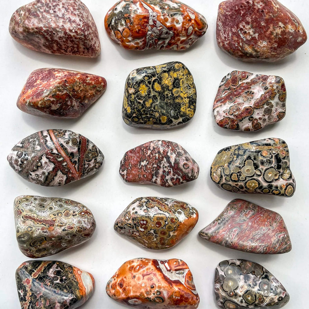 Leopard Skin Jasper Tumbled Pocket Stone Rocks with Sass