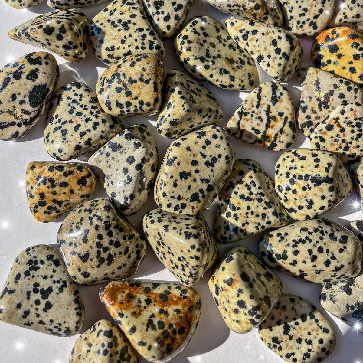 Small-sized Dalmatian Jasper tumbled pocket stone.