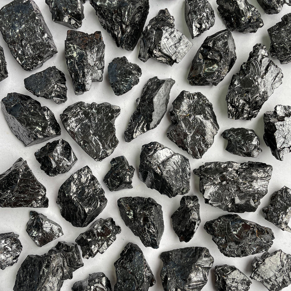 Shungite - Rocks with Sass