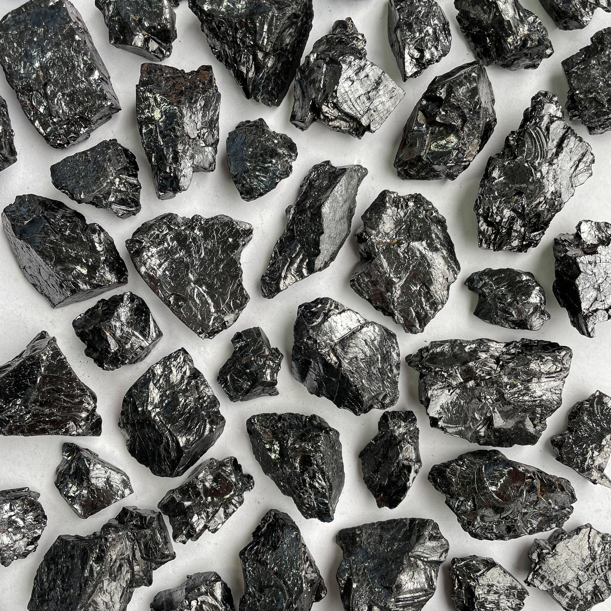 Shungite - Rocks with Sass